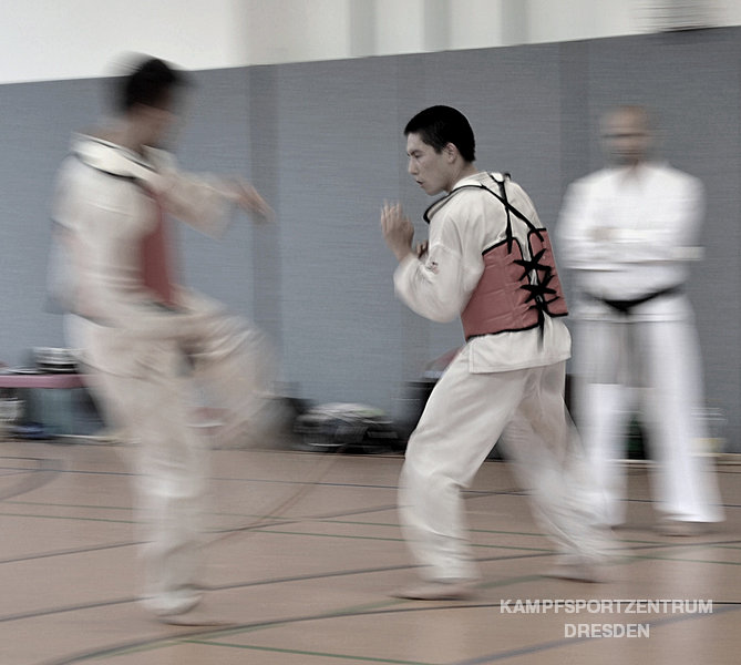 Taekwon-Do
